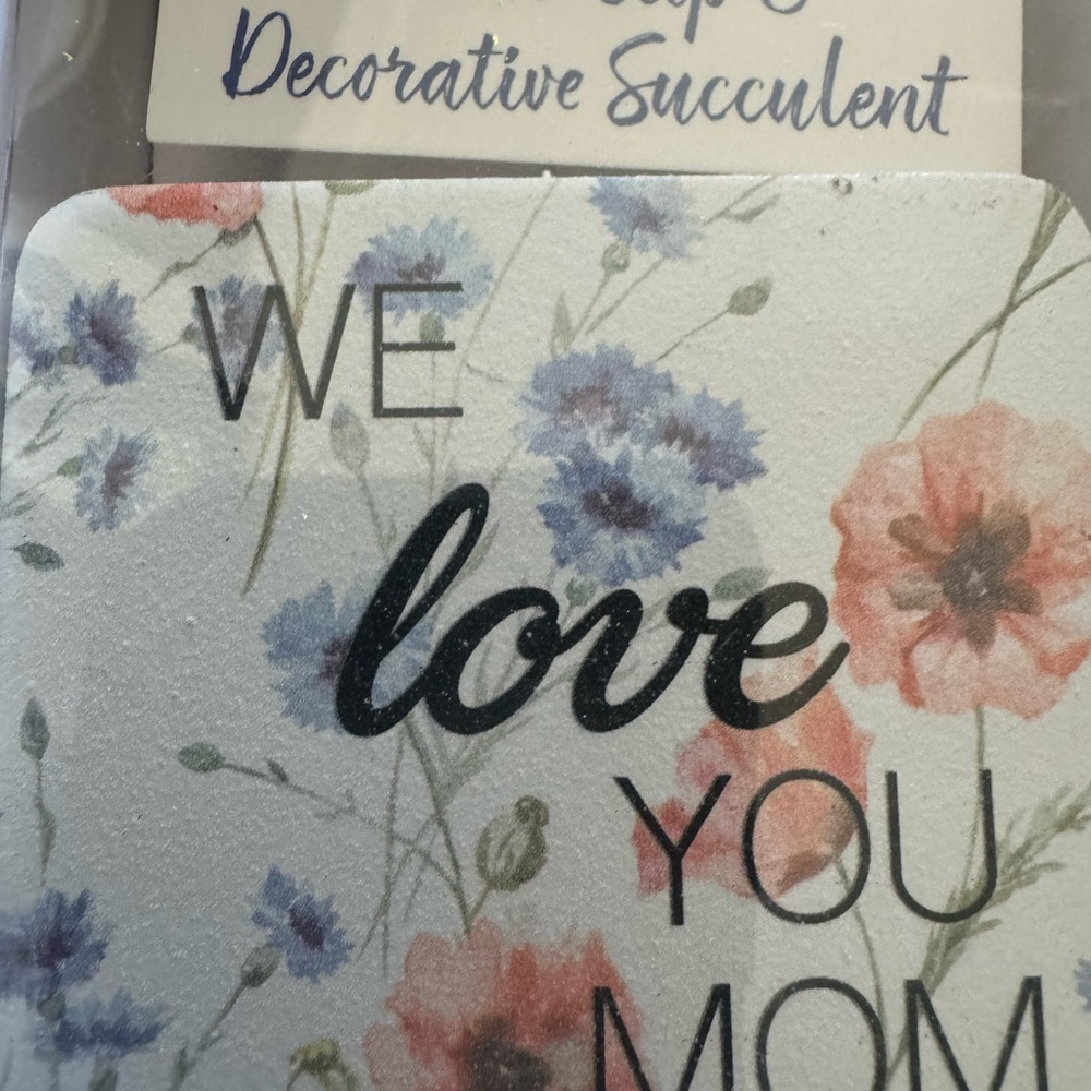 New Mom gift set photo clip and decorative succulent - Picture 2 of 3